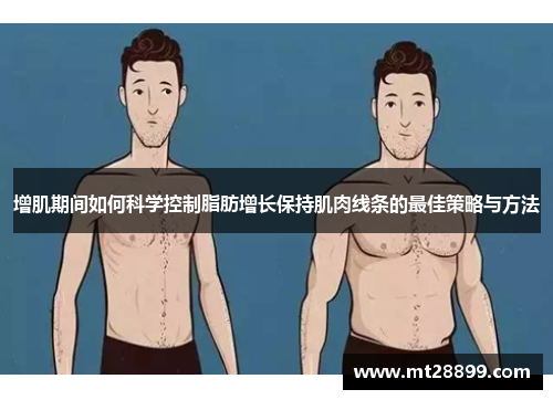 增肌期间如何科学控制脂肪增长保持肌肉线条的最佳策略与方法