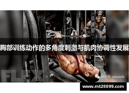胸部训练动作的多角度刺激与肌肉协调性发展